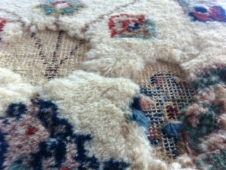 Best carpet repair service